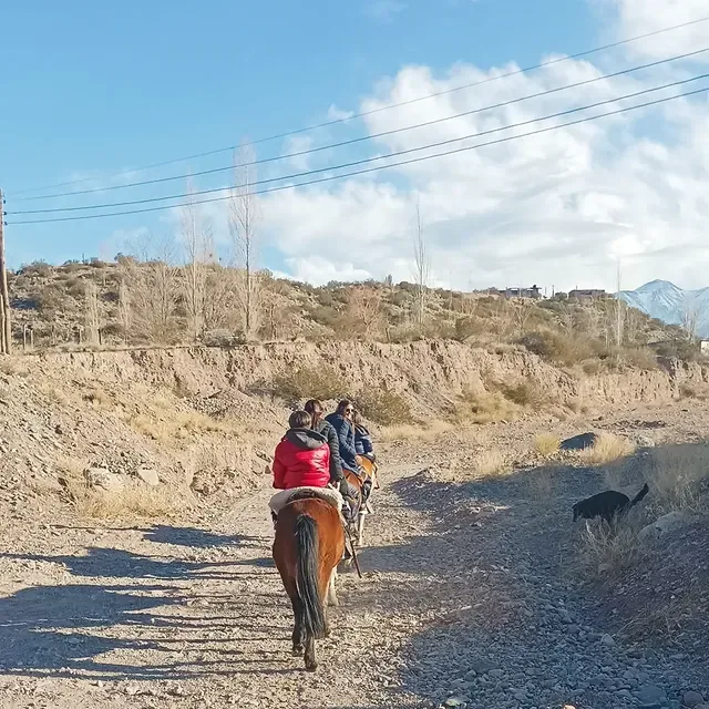 Horseback in the foothills